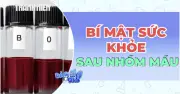 Bí mật sức khỏe đằng sau các nhóm máu: Ảnh hưởng đến bệnh tim và đột quỵ