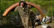 Bí ẩn rùng rợn đằng sau cơn sốt săn lùng xác voi ma mút ở Siberia