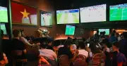 Bí quyết vàng để xem World Cup an toàn và khỏe mạnh
