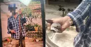 Bị rắn độc cắn vẫn chụp ảnh: Người đàn ông 58 tuổi thoát cửa tử
