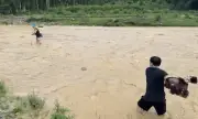 Bí thư xã vùng biên Nhôn Mai tìm niềm vui trồng rau, bắt cá sau giờ làm