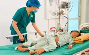 Ba anh em ruột ở Điện Biên nhập viện vì ăn nấm rừng