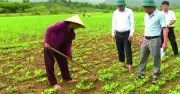 Ba Lòng khai mở tiềm năng kinh tế bằng nghị quyết chuyên đề phát triển nông thôn