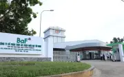 BAF phát hành 60 triệu cổ phiếu trả cổ tức và thưởng, huy động 1.200 tỷ đồng