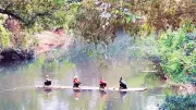 Bao La mới: Tiềm năng du lịch cộng đồng và thách thức bảo tồn văn hóa