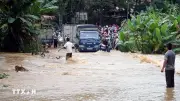 Bắc Bộ, Thanh Hóa và Nghệ An chủ động ứng phó mưa lớn