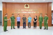Bắc Ninh khởi tố ba chủ cơ sở dùng hóa chất sản xuất giá đỗ