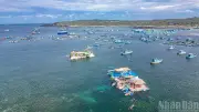 Bãi Cạn Phú Quý: Điểm đến thể thao biển và studio dưới đáy đại dương