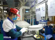 Biến thách thức thành động lực tăng trưởng mới