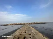 Biển Thịnh Long: Nét duyên mộc mạc nơi cuối đồng Ninh Cơ