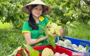 Bán nông sản online: Tăng doanh số nhưng đối mặt với áp lực chi phí sàn