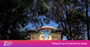 Bên trong khu du lịch The Peak Phú Quốc trước khi bị cưỡng chế tháo dỡ