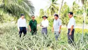 Bưng Sẫm chuyển mình: Cách mạng cây trồng nâng cao đời sống