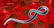 Bệnh viện Bạch Mai: '2 phút vàng' ngăn chặn lây nhiễm Ebola nguy hiểm