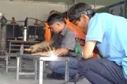 Bảo hiểm thất nghiệp mới: Công cụ điều tiết cung cầu lao động hiệu quả