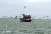 Bão Mekhala tiếp tục mạnh lên nhưng không đi vào Biển Đông