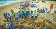 Bảo vệ môi trường và đại dương: Trách nhiệm của mỗi người vì tương lai bền vững