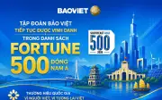 Bảo Việt ghi danh Fortune 500 Đông Nam Á 2025, thứ hạng tăng