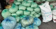 Bắt 3 lò sản xuất giá đỗ ngậm hóa chất cấm, hơn 1.000 tấn độc hại ra thị trường
