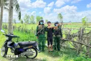 Bắt giữ các đối tượng đưa người nhập cảnh trái phép qua biên giới Tây Ninh