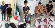 Bắt giữ nhóm thợ săn động vật hoang dã quý hiếm ở Phú Quốc