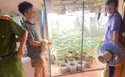 Bất ngờ với hệ thống mô phỏng trồng cần sa trong nhà của gã thanh niên