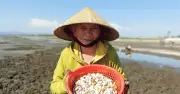 Cụ bà U80 phơi mình nhiều giờ dưới nắng gắt, còng lưng săn lộc trời