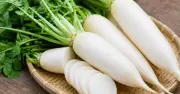 Củ cải: Thực phẩm quen thuộc giúp giải độc gan hiệu quả