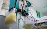Cô gái 27 tuổi suýt chết vì máu đục như sữa do ăn đồ tiện lợi suốt một năm