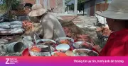 Cô gái miền Tây nấu bữa ăn đãi thợ xây nhà gây sốt mạng