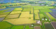 Cà Mau thành lập 13 phường: Hồng Dân khát vọng vươn lên mạnh mẽ