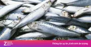 Cá mòi: 'Siêu thực phẩm' nhỏ bé giàu dinh dưỡng ít ai biết