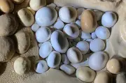 Độc đáo hàng trăm viên ngọc động bên trong hang Hùng ở Phong Nha - Kẻ Bàng