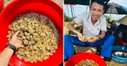 Đặc sản có từ Nam ra Bắc, tên nghe béo ngậy thịt giòn bùi như trứng gà