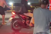 Cá sấu bò giữa quốc lộ ở Đồng Nai, người dân hoảng sợ