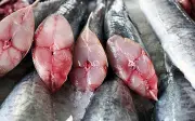Cá thu, cá kiếm chứa nhiều thủy ngân: Cách chọn cá tươi an toàn