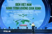 Cửa Lò rực sáng biển Việt Nam: Hành trình không gian xanh