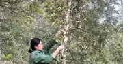 Cao Bằng đẩy mạnh tuyên truyền sâu rộng xóa vùng lõm thông tin lâm nghiệp