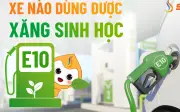 Các hãng xe công bố danh sách mẫu xe tương thích với xăng E10