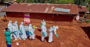 CDC cảnh báo dịch Ebola có thể vượt quy mô đợt bùng phát 2014-2016