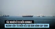 CEO vận tải biển kêu gọi khôi phục bình thường tại eo biển Hormuz