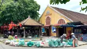 Chợ lá thuốc Tết Đoan Ngọ ở Hội An: Nét văn hóa và tri thức dân gian