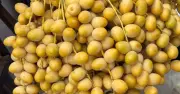 Chả lụa nhập khẩu: Những nhóm người không nên ăn