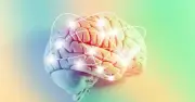 Chế độ ăn Keto có chữa được bệnh tâm thần? Nghiên cứu mới hé lộ