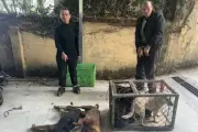 Chủ quán thịt cầy cùng 4 kẻ trộm chó bị khởi tố tại Đà Lạt