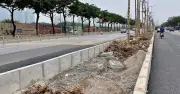 Chủ đầu tư yêu cầu kỷ luật cán bộ vụ trồng cây trên nền đá dăm ở đường Võ Chí Công