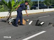 Chưa ghi nhận thương vong về người Việt trong trận động đất ở Philippines