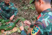 Chiến dịch 500 ngày đêm tìm kiếm hài cốt liệt sỹ trên toàn quốc