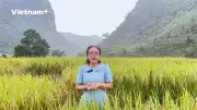 Chiến lược ôn thi tốt nghiệp THPT 2026 môn Địa lý giai đoạn nước rút