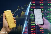 Chán nản đầu tư chứng khoán nhưng không từ bỏ, chuyên gia khuyên gì?